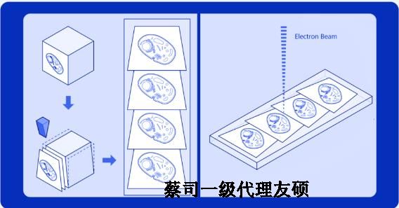 天水蔡司天水扫描电镜