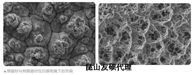 天水蔡司天水扫描电镜