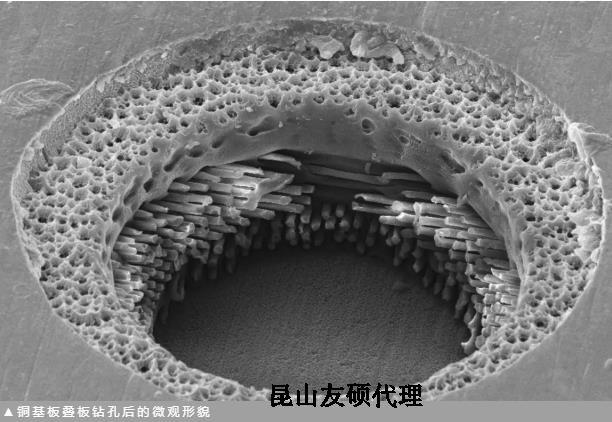 天水蔡司天水扫描电镜